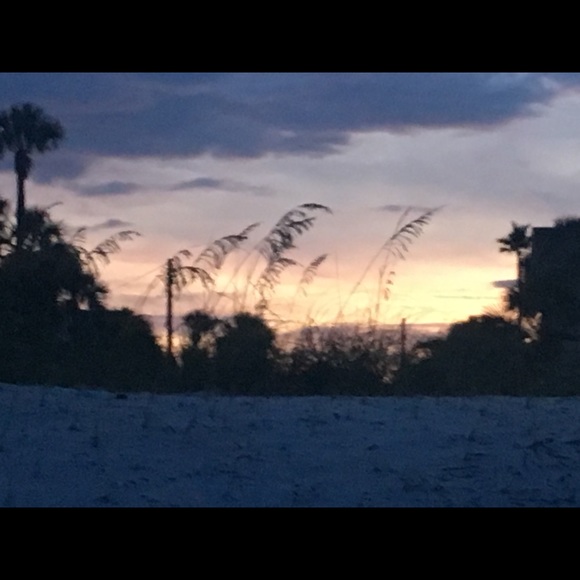 Meet your Posher, Mandy - Picture 2 of 3